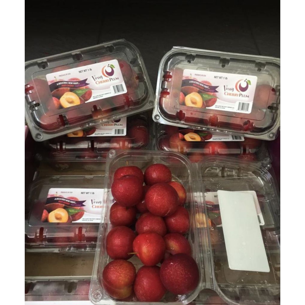 

Buah Plum Sweet Cherry Usa / plum cherry Import manis / Pack