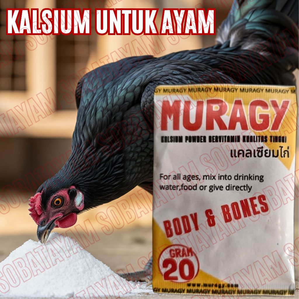 Muragy Kalsium powder Kalk Memperkuat Tulang dan Mencegah Kelumpuhan Ayam sobatayam