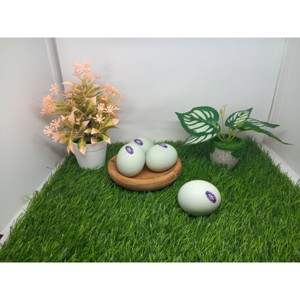 

telur asin premium matang isi 10 pcs by agen ndok asin