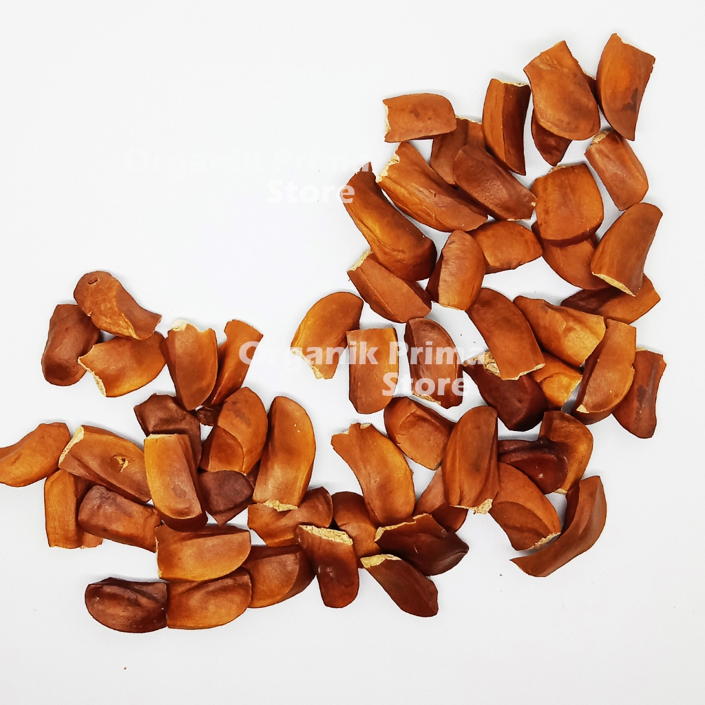 

Biji Mahoni 500gr Bersih dan Organik / Biji Mahoni Asli