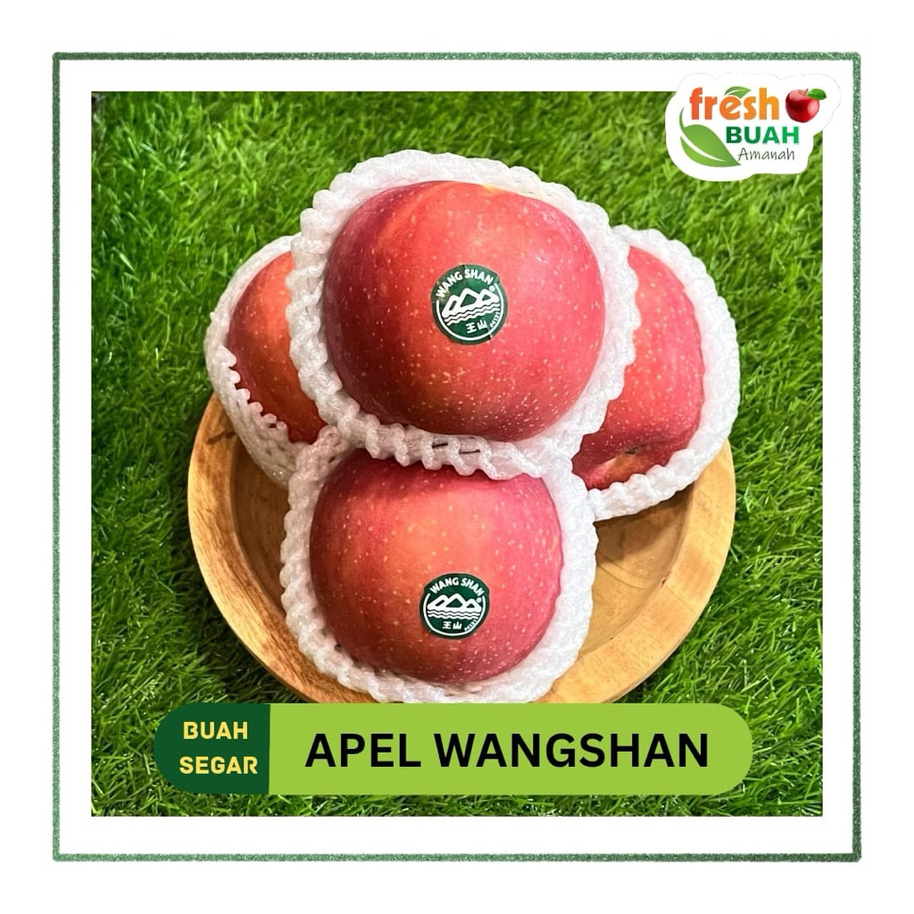 

Apel Wangshan Apple 600g 1 kg | Promo Buah Segar | Fresh Buah Amanah