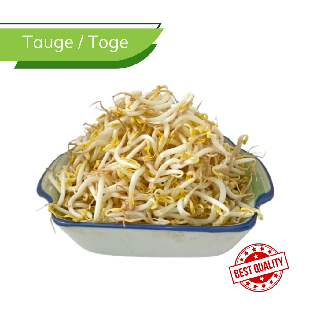 

Tauge/Toge/Kecambah Segar per kantong