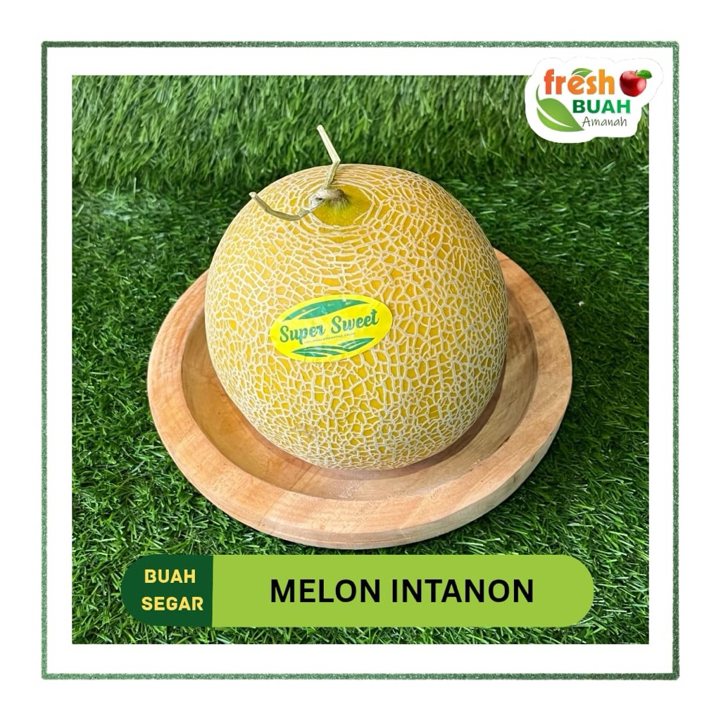 

Melon Intanon | Buah | Fresh Buah Amanah