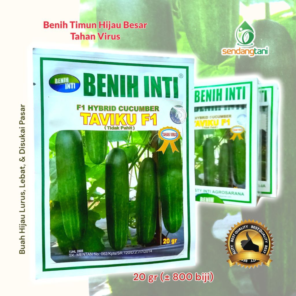 Benih Timun Hijau TAVIKU F1 Bibit Mentimun Tahan Virus Benih Inti