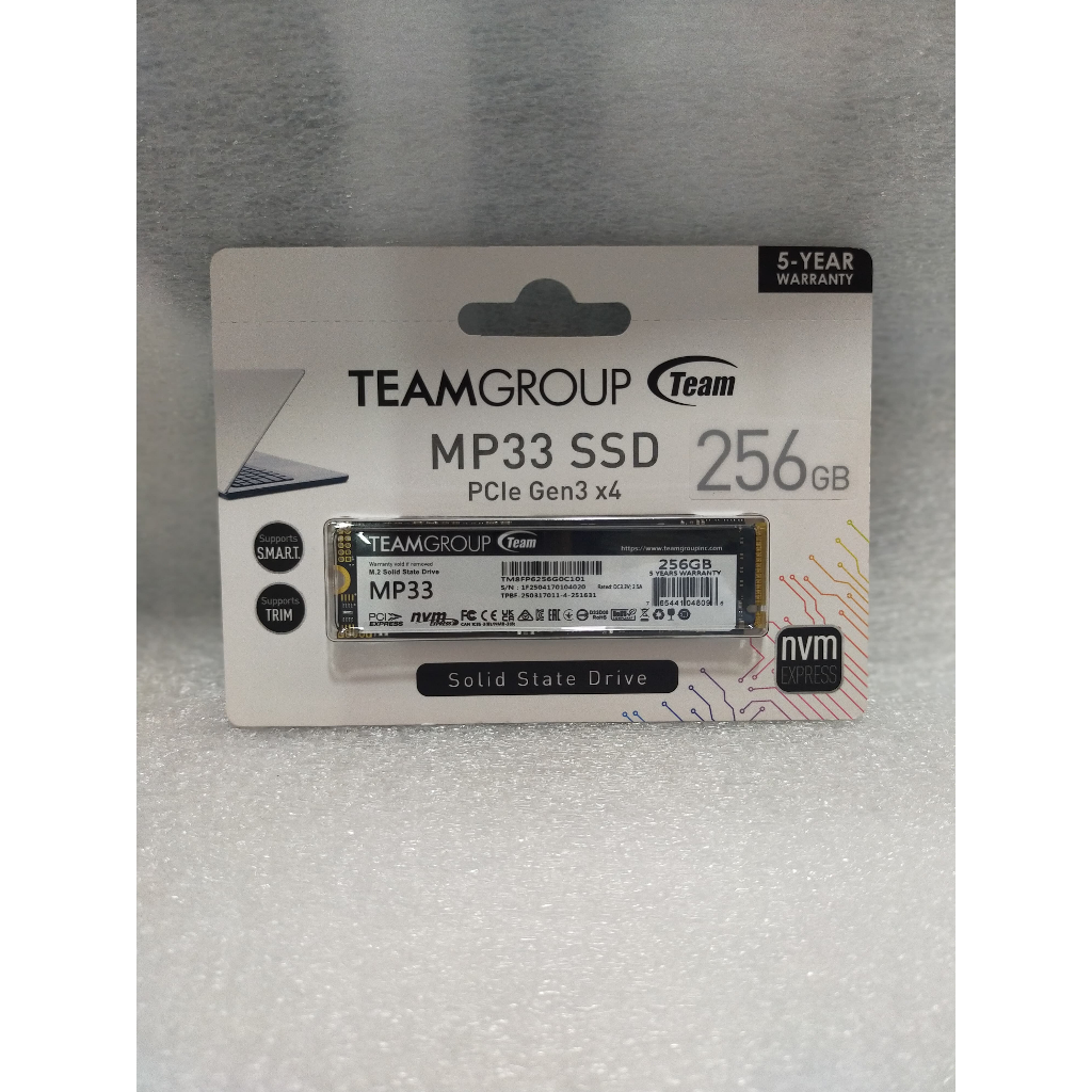 TEAM SSD M2 NVME MP33