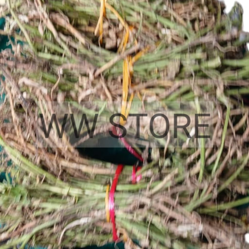 

Akar kacang tanah kering untuk masak sup sop