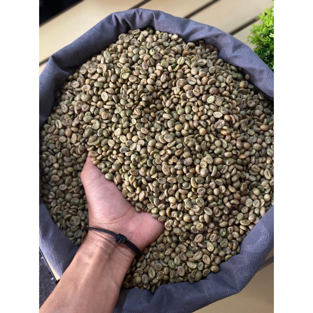 

BIJI KOPI PILIHAN TRADISIONAL ASLI GUNUNG MAJA PAHIT BANDUNG BARAT RGEND1 1KG NGOPI LEBIH MANTAP