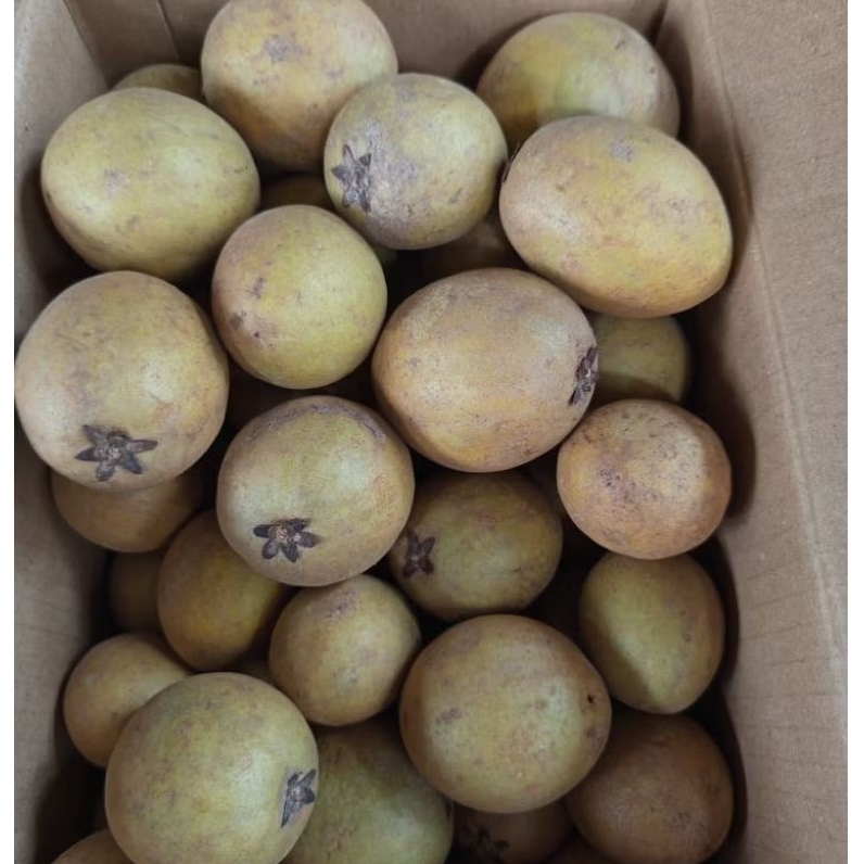 

1KG SAWO MANIS SIAP MATANG FRESH PETIK