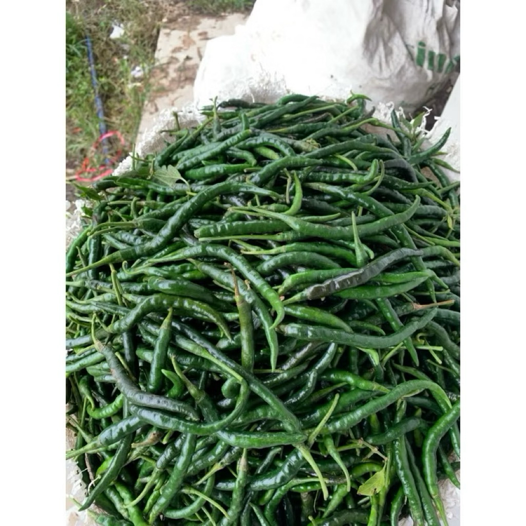 

Cabe hijau keriting- fresh 1kg