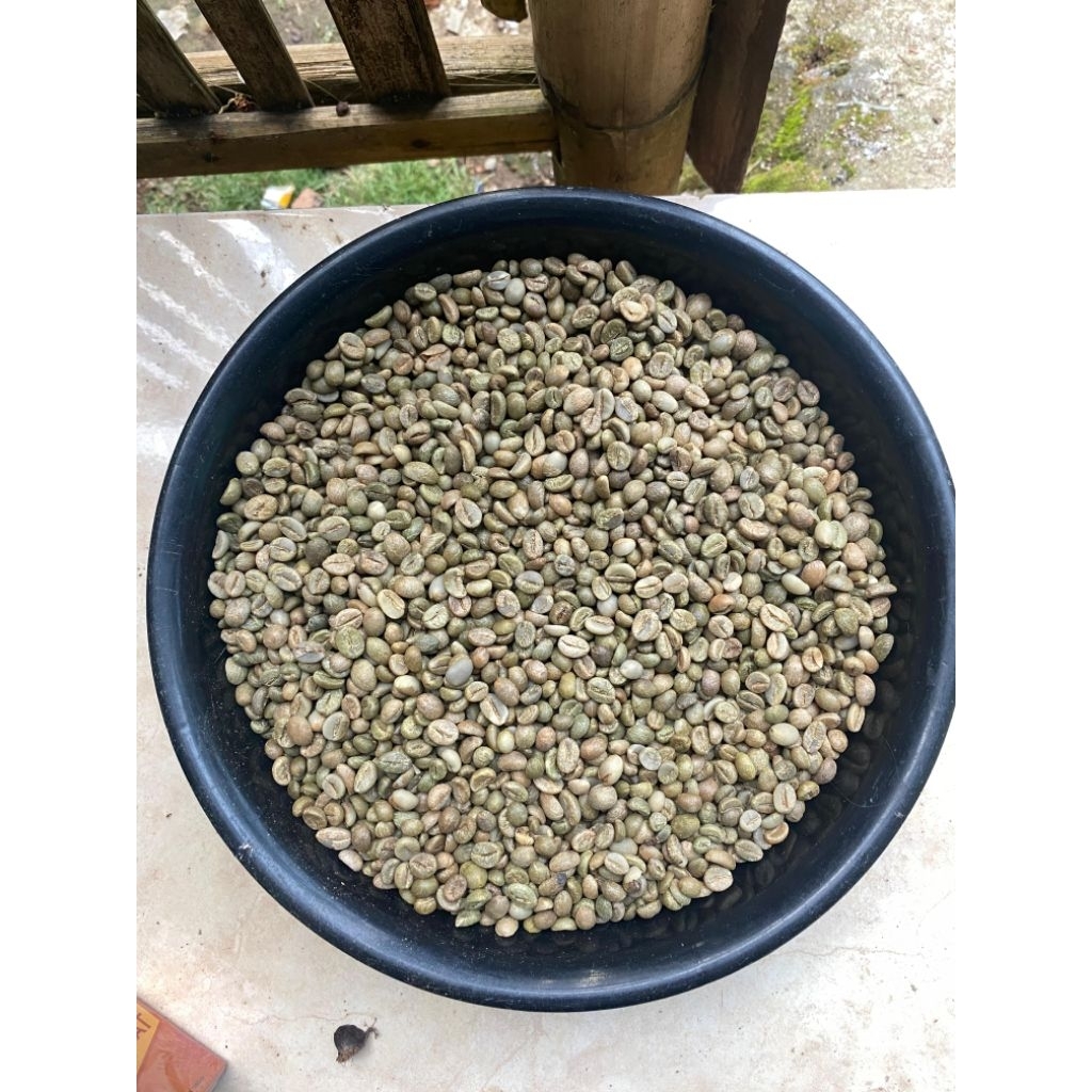 

Robusta Green Bean 1kg Mentah ( biji kopi asli pilihan ) grade 1