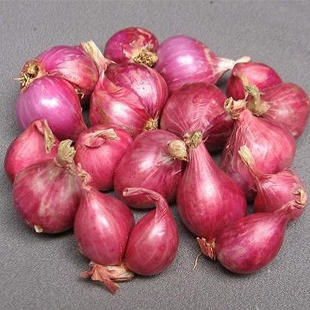 

Bawang Merah Segar Langsung Dari petani – Rasa Lebih Sedap & Tahan Lama