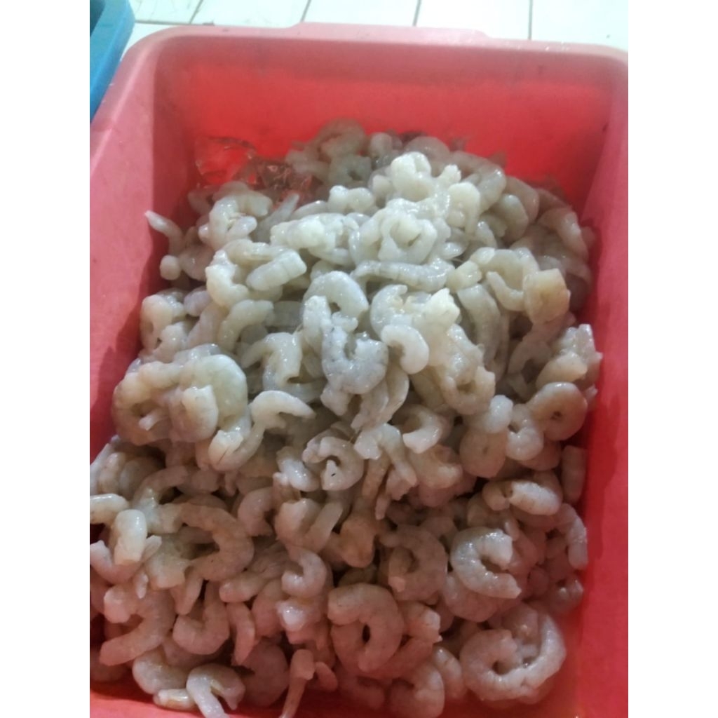 

Udang Kupas Fresh 1 kg Sudah Bersih.