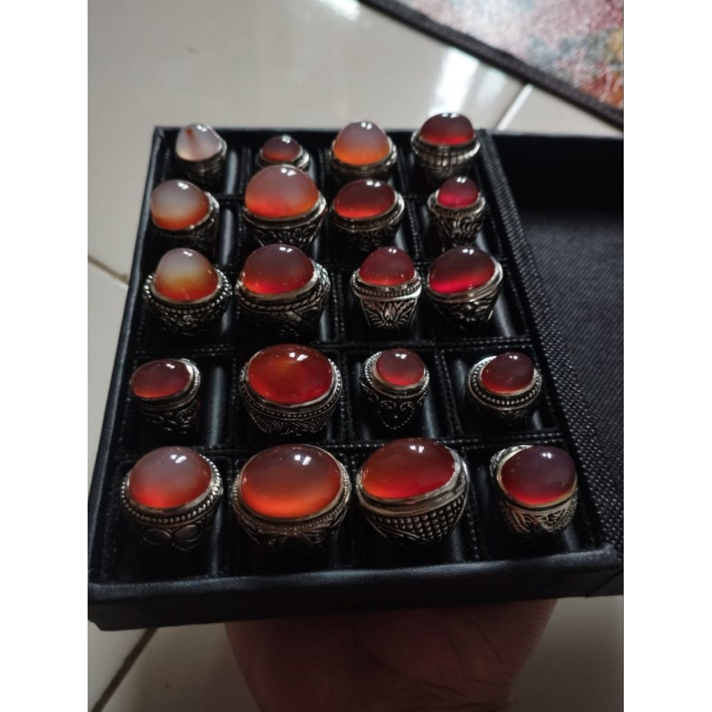 Obi nukleus alasmerah