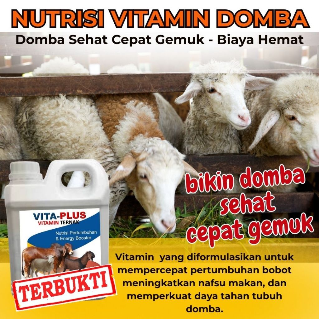 Vitamin Domba Biar Cepat Besar Meningkatkan Nafsu Makan Obat Penggemuk Kambing