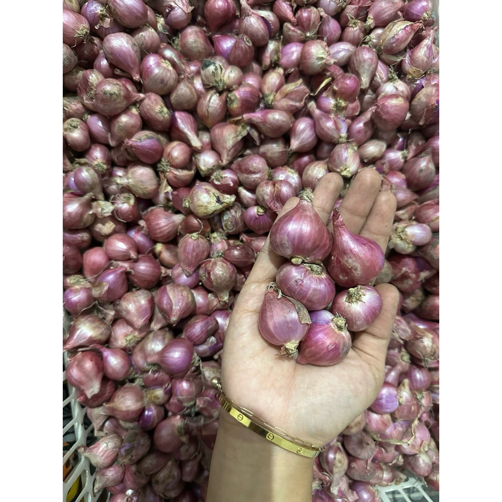 BAWANG MERAH BIMA SUPER 1KG
