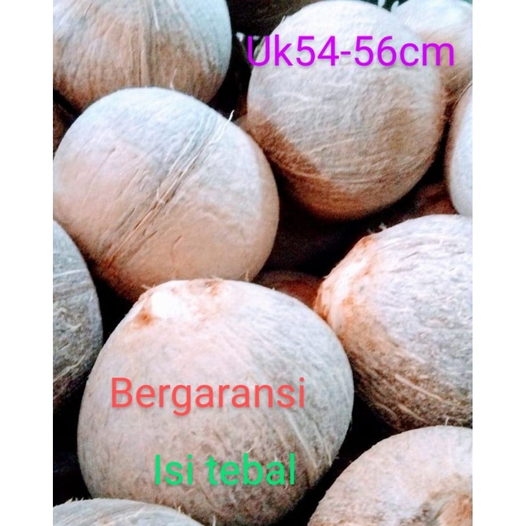 

kopyor kupas plontos bergaransi uk52-56cm