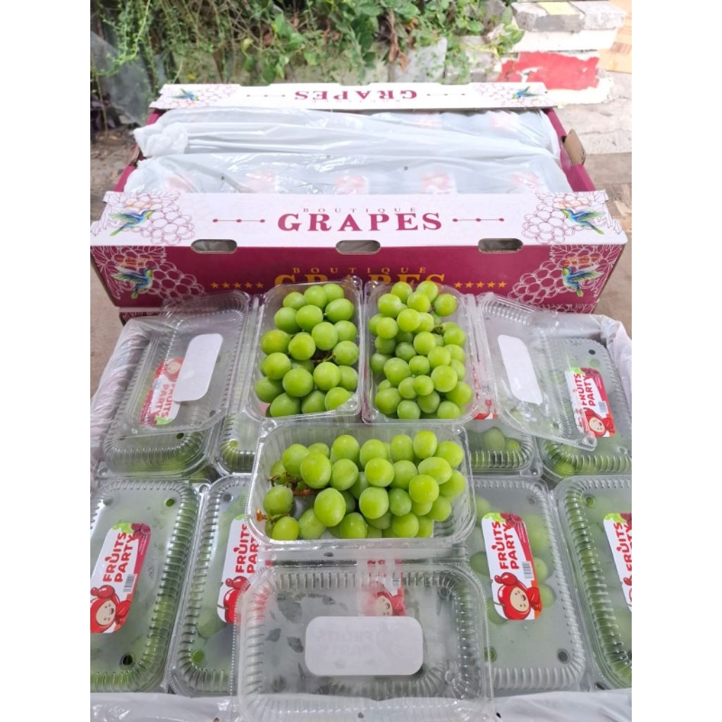 

Anggur Hijau Muscat