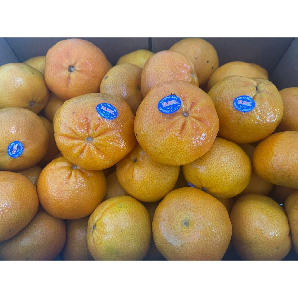 

Jeruk Afourer Aussie Manis Seger Seedless