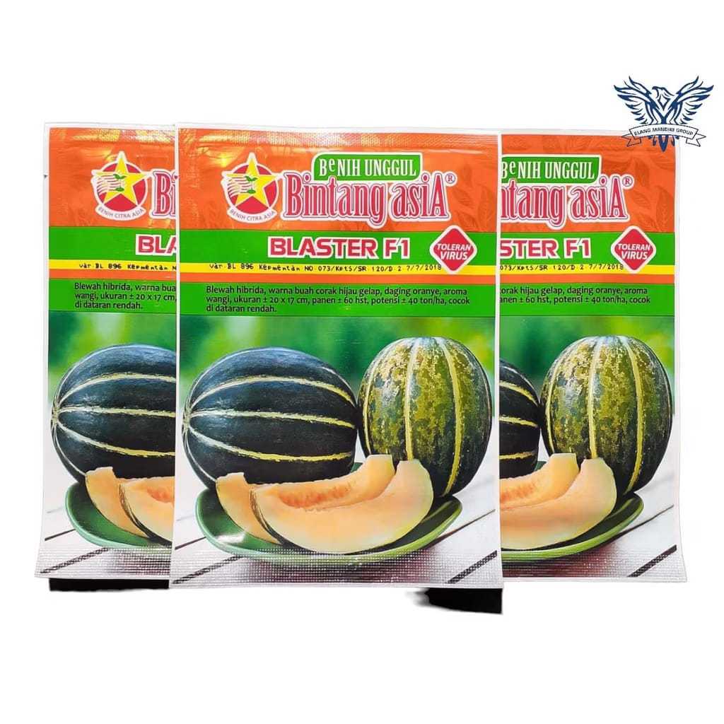 Blaster benih blewah super Bintang asia