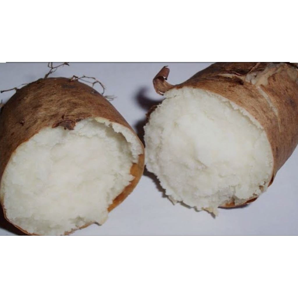 

Gembili makanan kuno harga murah meriah