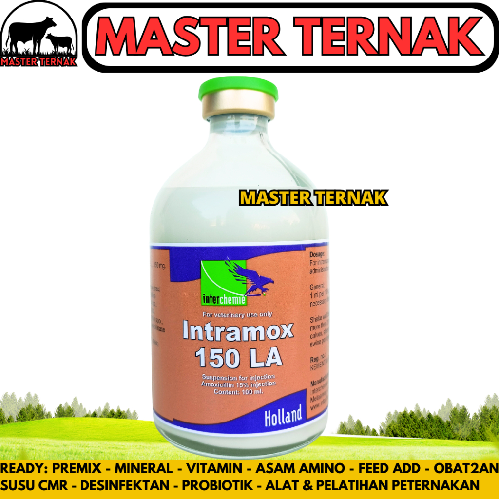 INTRAMOX 150 LA 100ML (ORANGE) - Obat Antibiotik Spektrum Luas Long Acting Hewan Sapi Babi - like Am