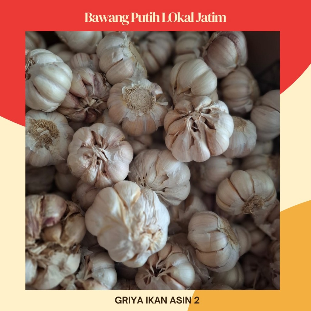 

Bawang putih lokal (JATIM)/Bawang putih premium