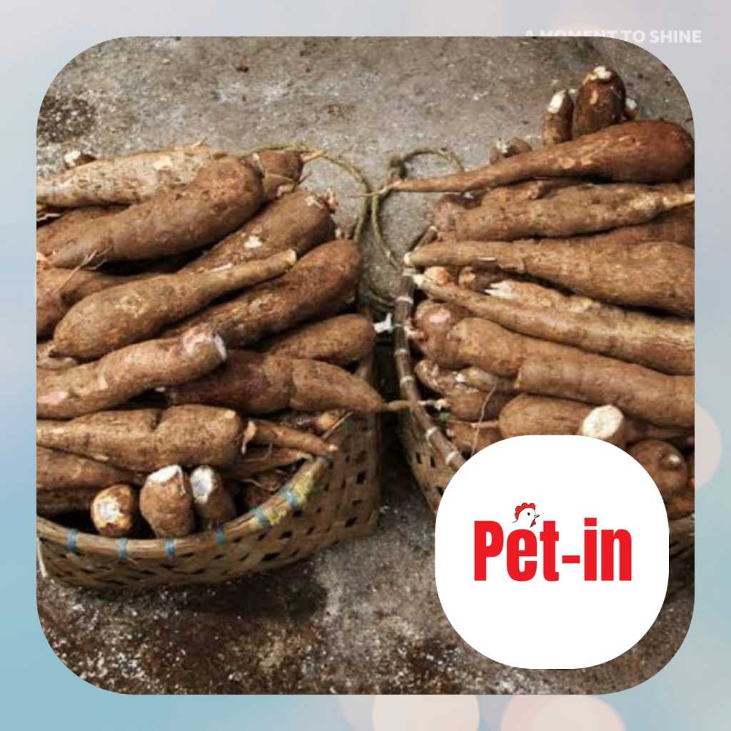 

KIRIM INSTANT Ubi kayu / singkong mentah 1 kg fresh