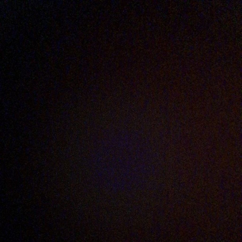 wild betta smaragdina guitar