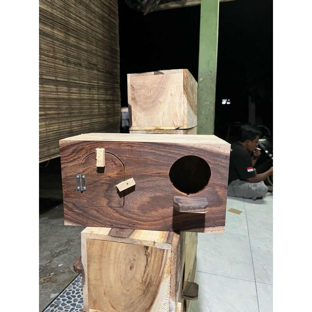 glodok burung falk jalak nuri beo model pintu depan | glodok jalak kayu halusss MEDIUM 