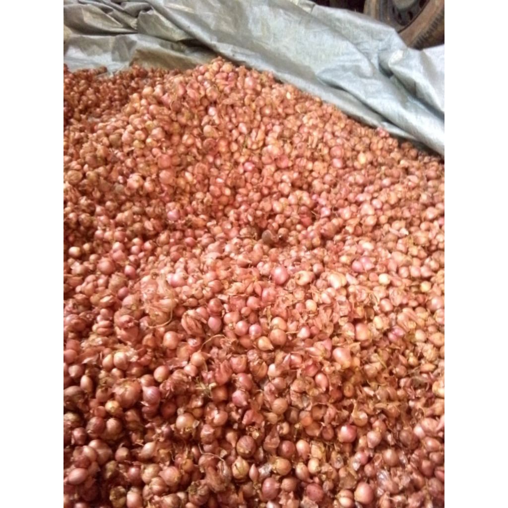 

Bawang Merah (1kg)