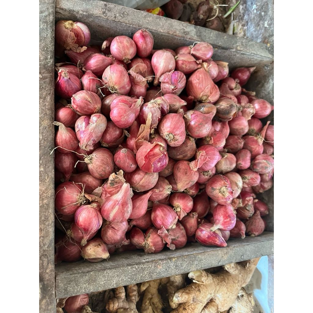 

Bawang merah