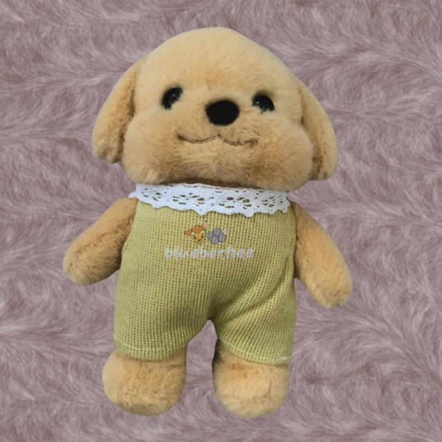 DOLL ENHYPEN JAKE FANSIGN BEIJING SULIPAN 20CM