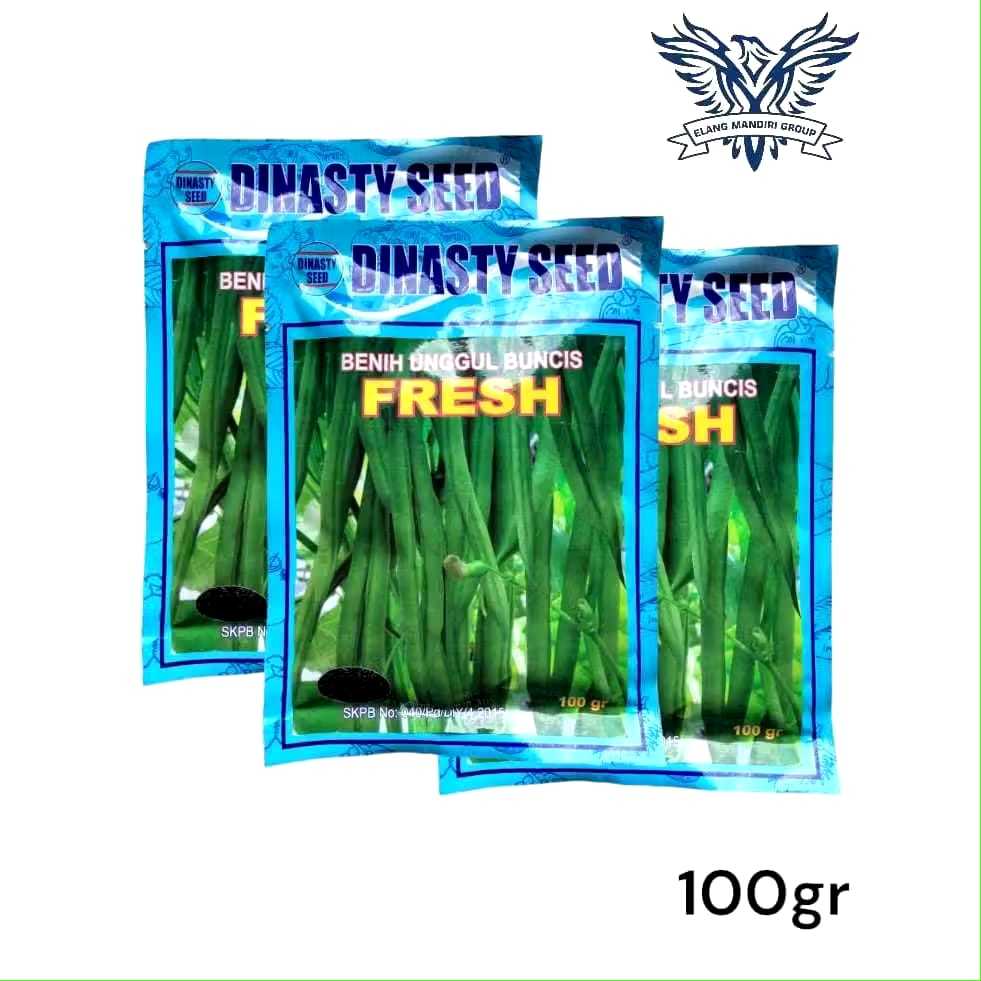 

Fresh 100gr Benih Buncis biji hitam dinasty seed