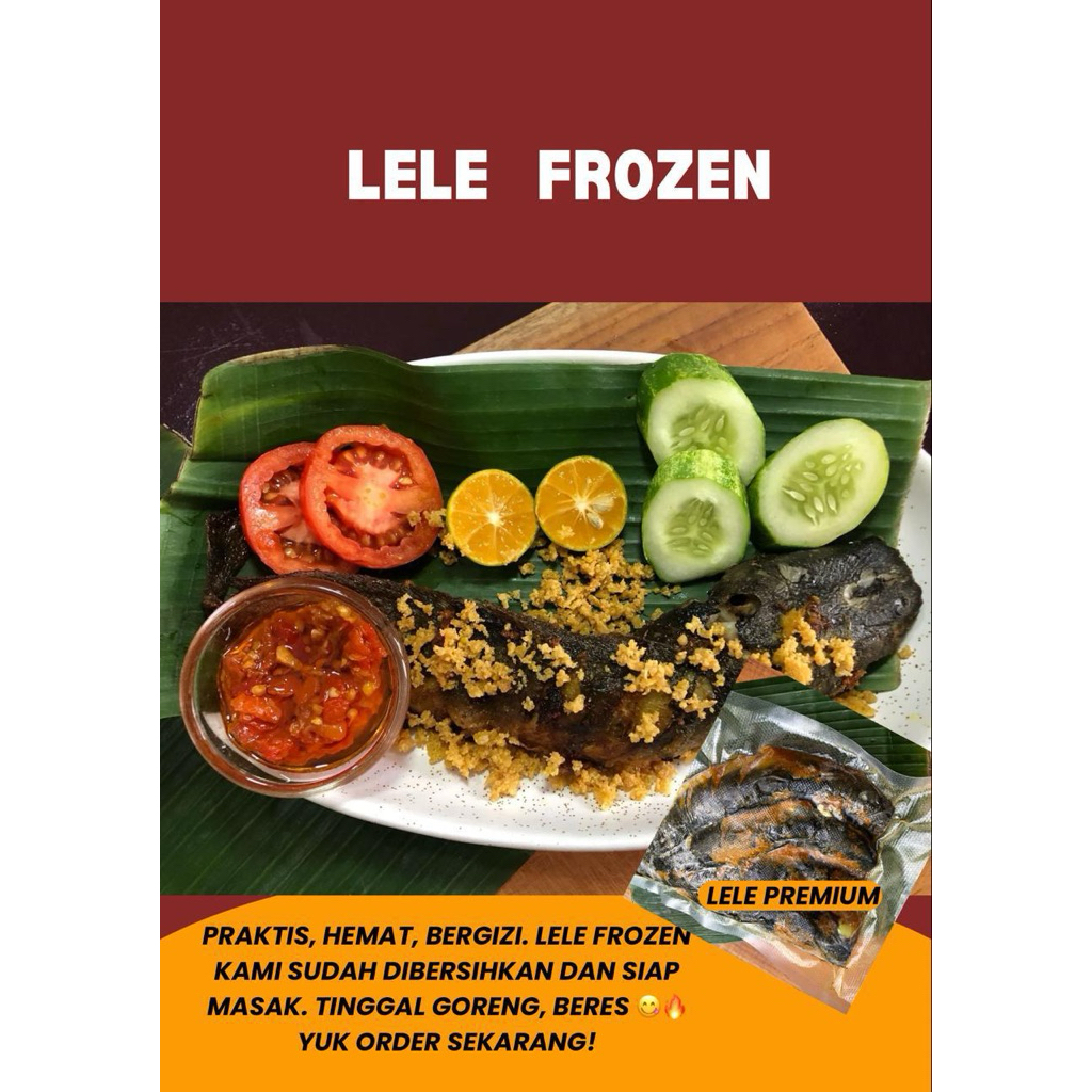 

Lele Marinasi Frozen Premium
