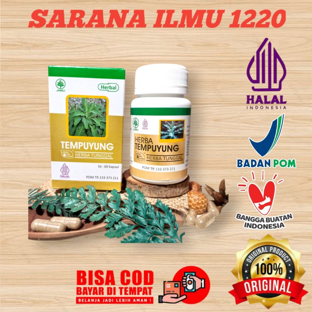 

HIU | Herbal TEMPUYUNG Kapsul Original | Membantu Meluruhkan Batu Urin di Ginjal