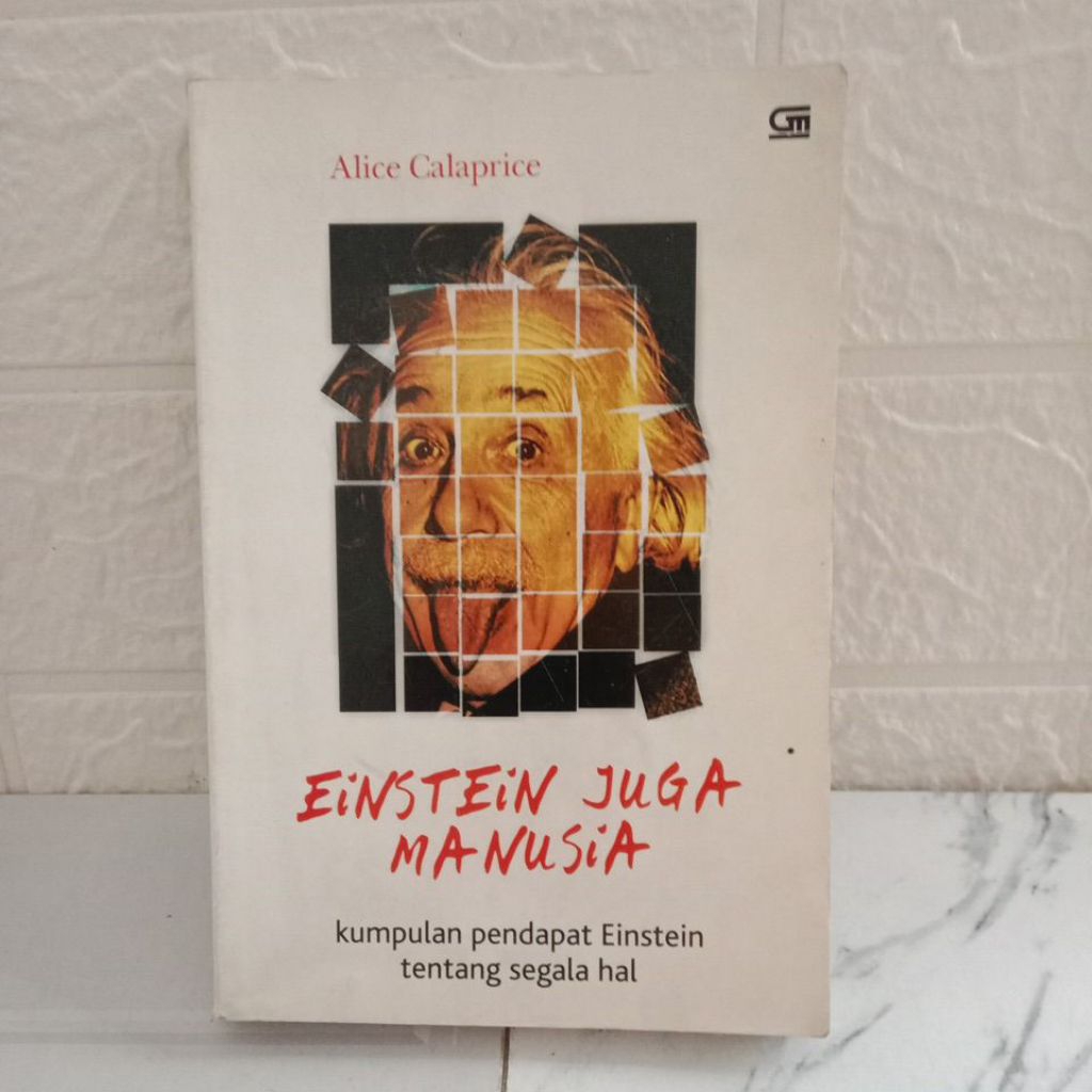 Buku Original EINSTEIN JUGA MANUSIA