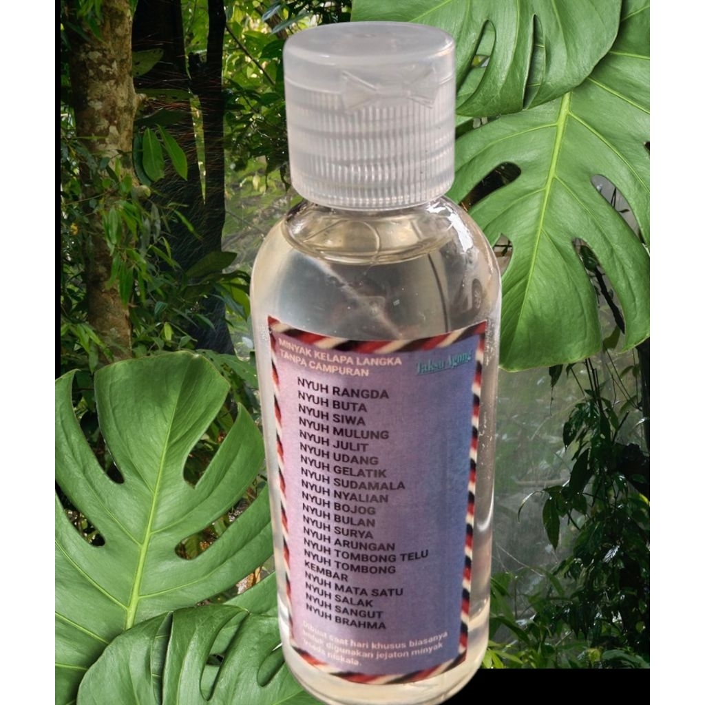 

Minyak lengis nyuh madan 19 kelapa langka tanpa campuran