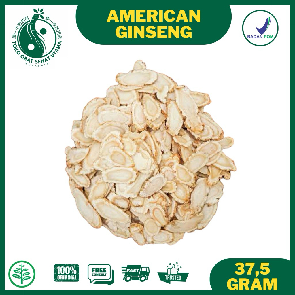 

AMERICAN GINSENG (POTONGAN) / Yongsem / Xi Yang Shen (西洋参) / Meningkatkan Stamina dan Daya Tahan Tubuh / Yangshen canada