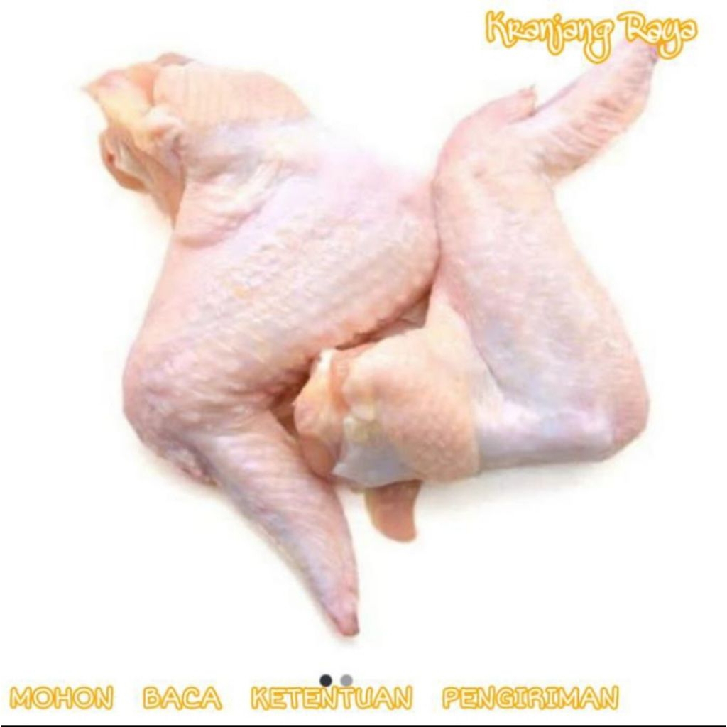 

Sayap Ayam