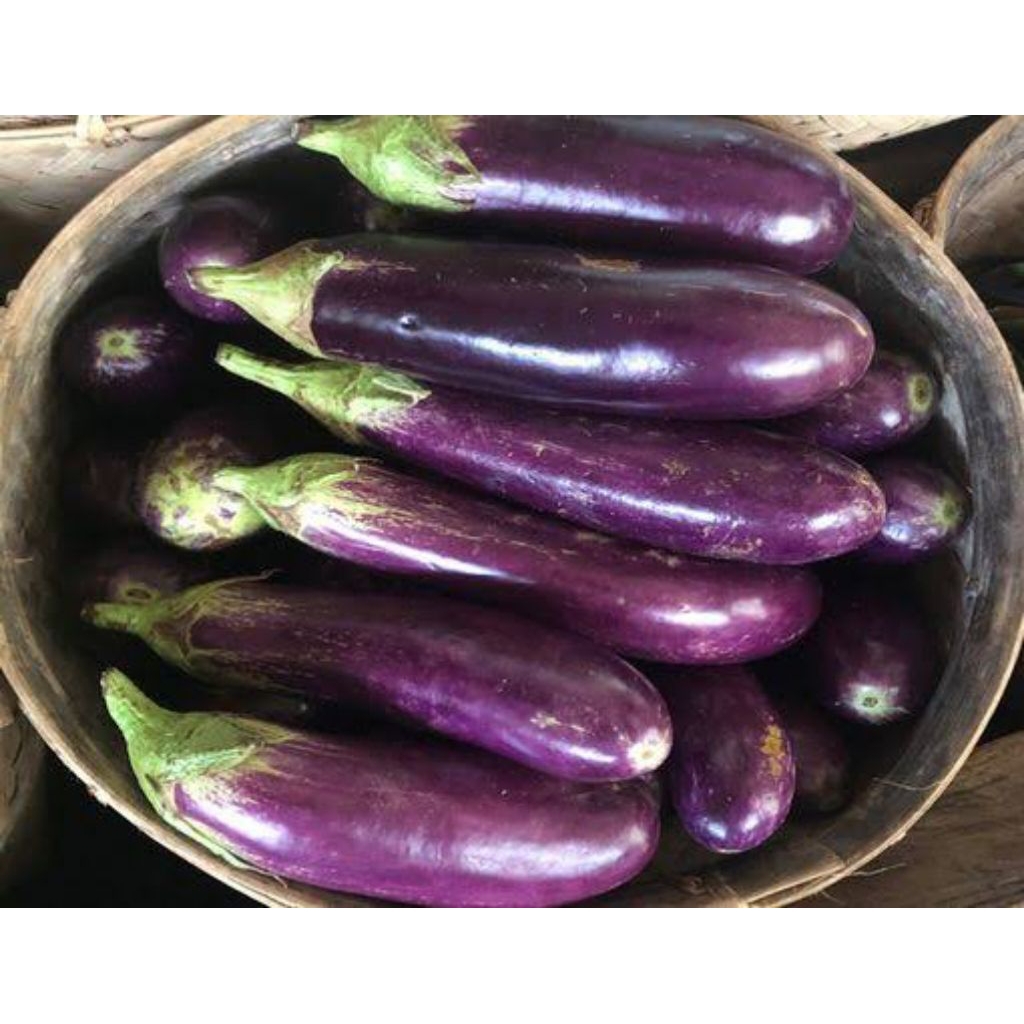 

Terong ungu panjang 500gr