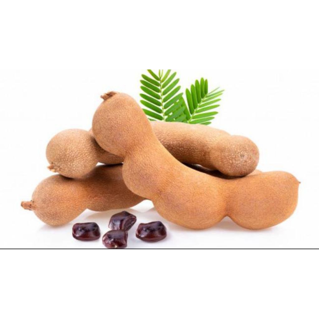 

Asam Jawa Asem Jawa kandis kupas