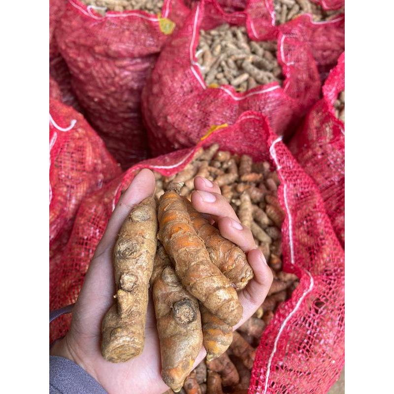 

Kunir Super Fresh Besar 1kg