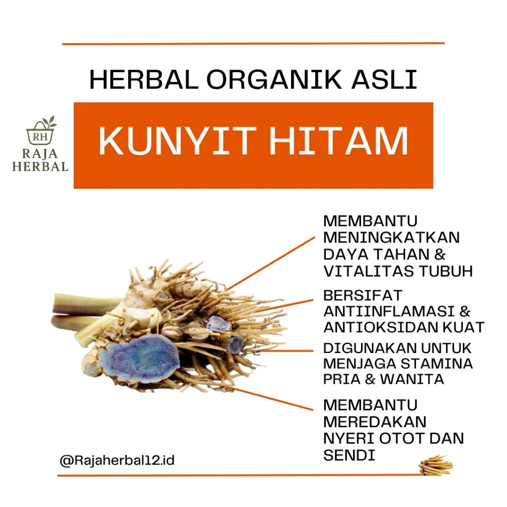 

TEMU IRENG KUNYIT HITAM SEGAR 1 KG