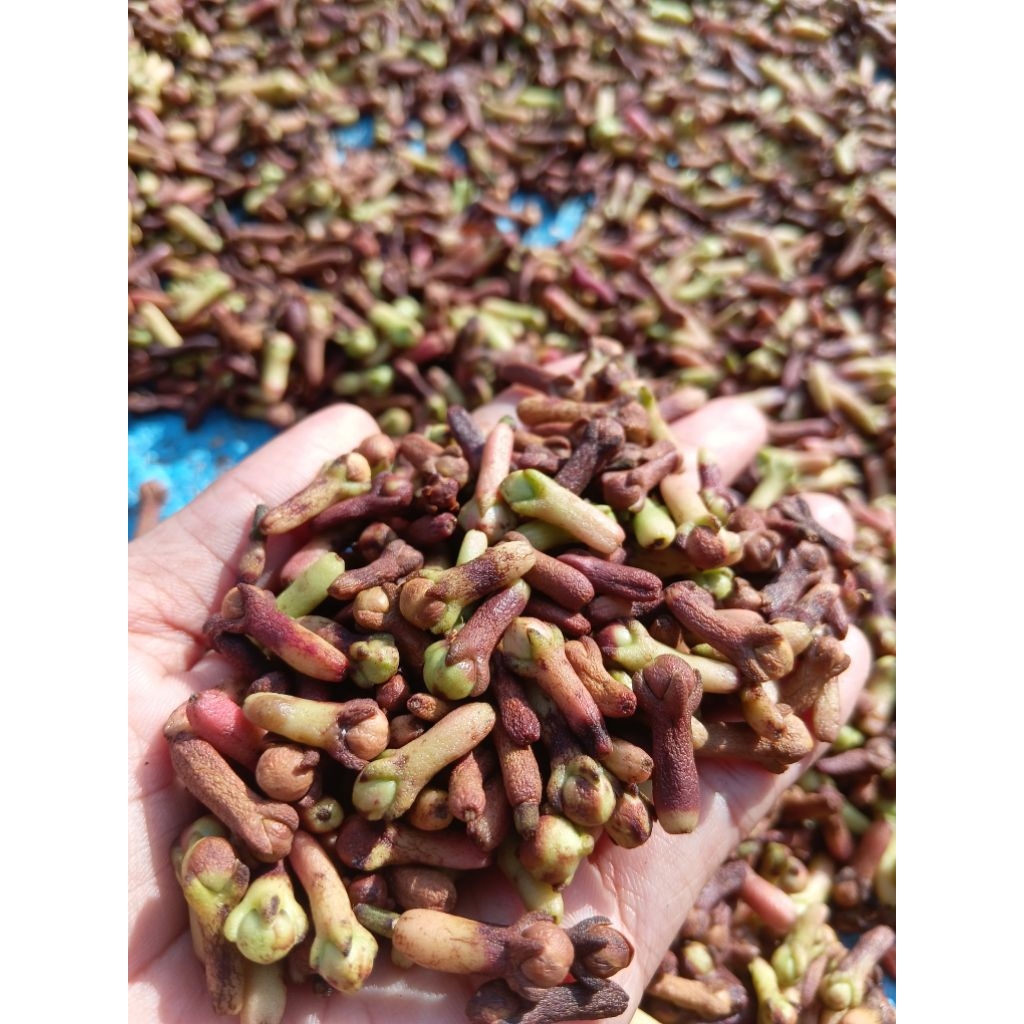 

cengkeh