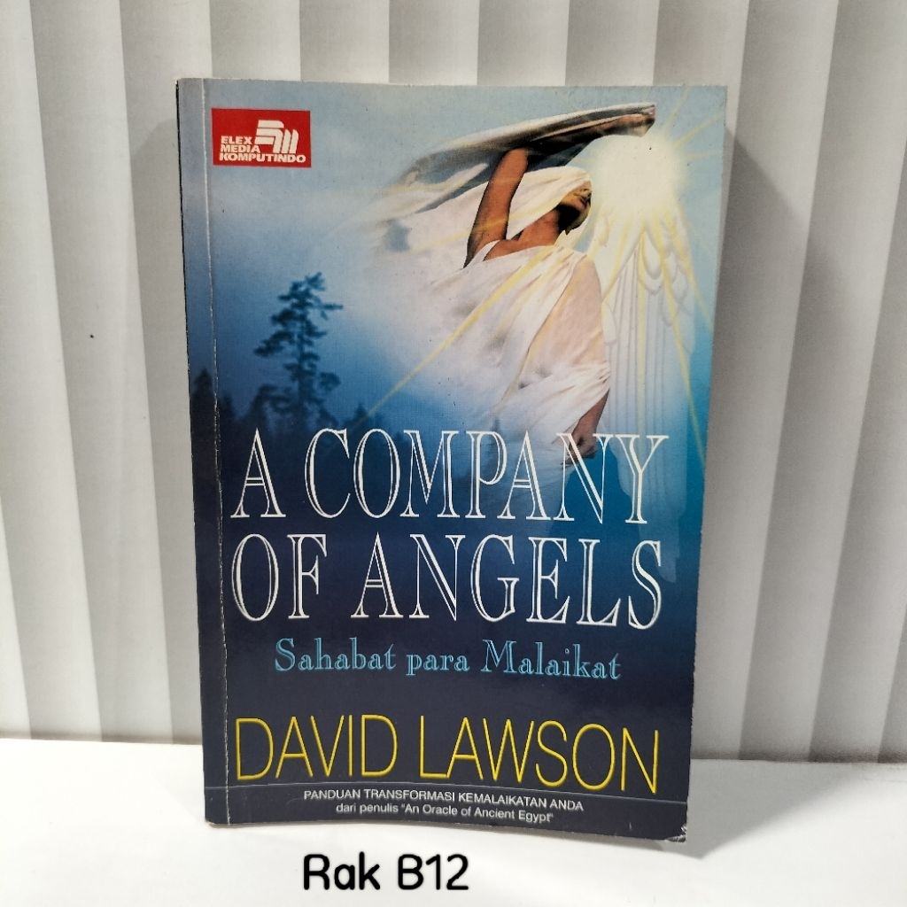 Buku A COMPANY OF ANGELS SAHABAT PARA MALAIKAT/ DAVID LAWSON