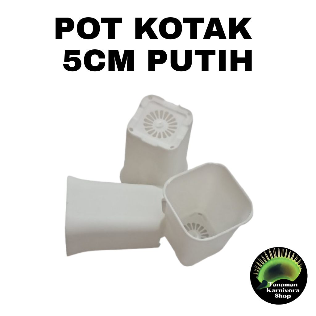 POT BUNGA/POT KOTAK 5 CM/POT PUTIH/ POT HIDROPONIK TANAMAN HIAS/ POT TANAMAN KARNIVORA NEPENTHES