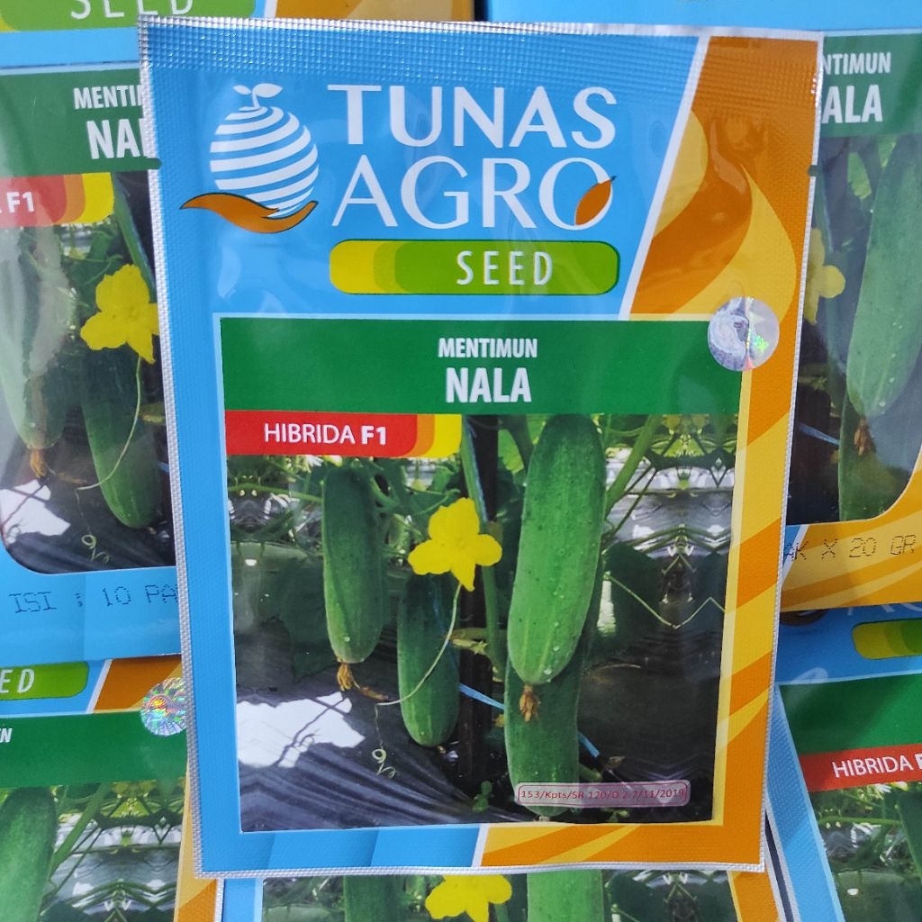 Timun baby/tipe semi tunas agro nala 20gr F1