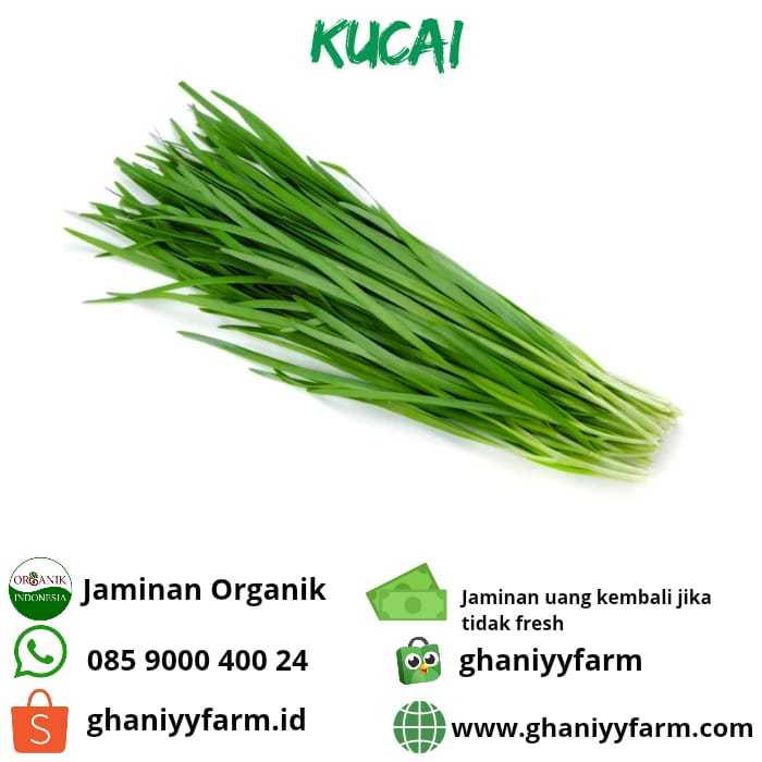 

Sayur Organik Kucai Organik 250Gram