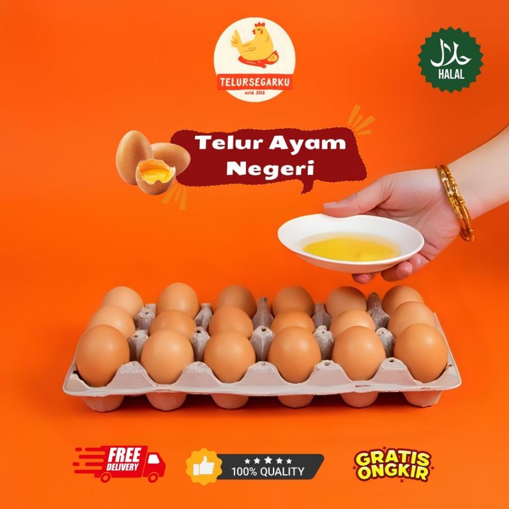 

Telur Ayam Negeri PREMIUM - 15 Butir Fresh Bersih Kualitas Terbaik