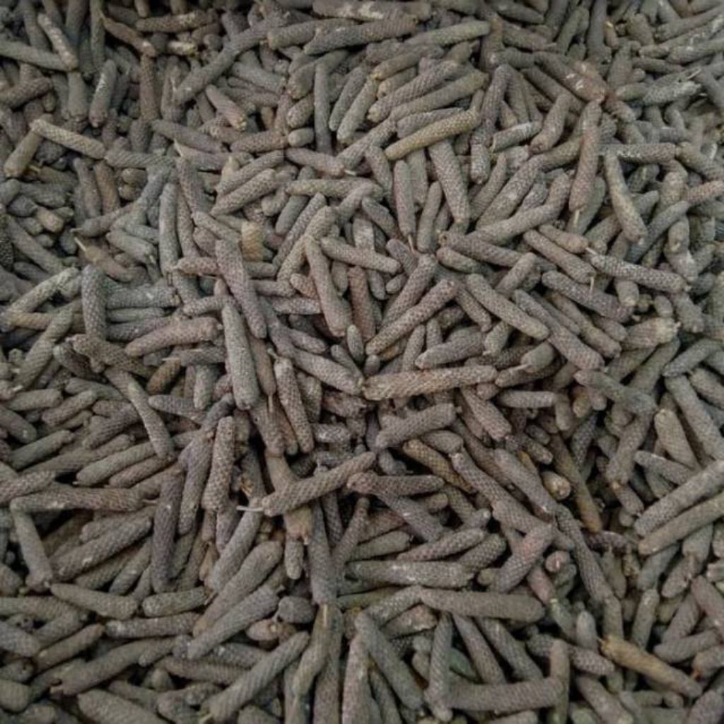 

Cabe Jawa kering Cabe Puyang Cabe Jamu